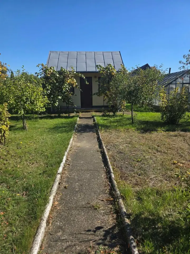Zdjęcie 5