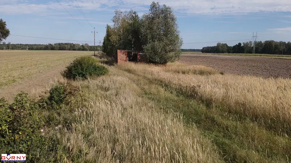 Zdjęcie 4
