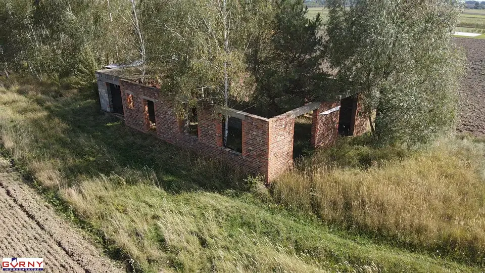 Zdjęcie 5