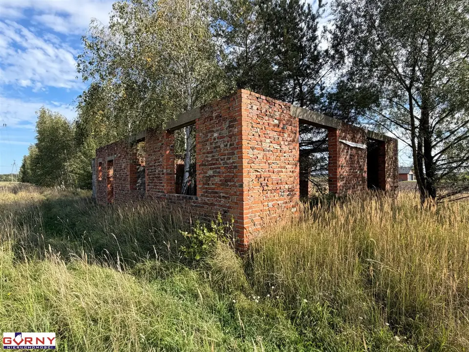 Zdjęcie 8