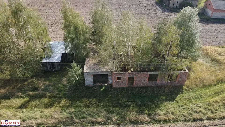 Zdjęcie 9