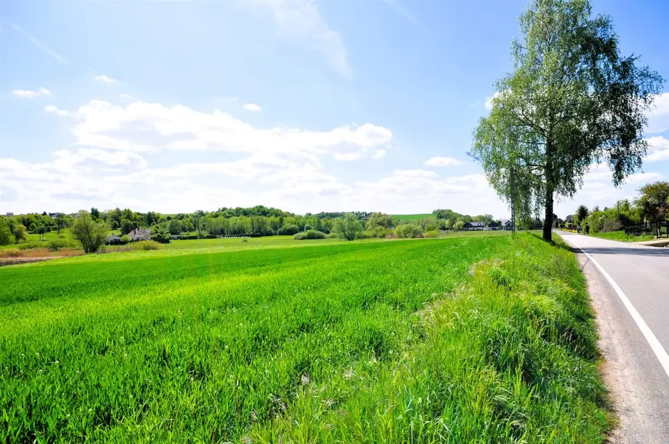 Działka budowlana 9 000 m², Sulechów