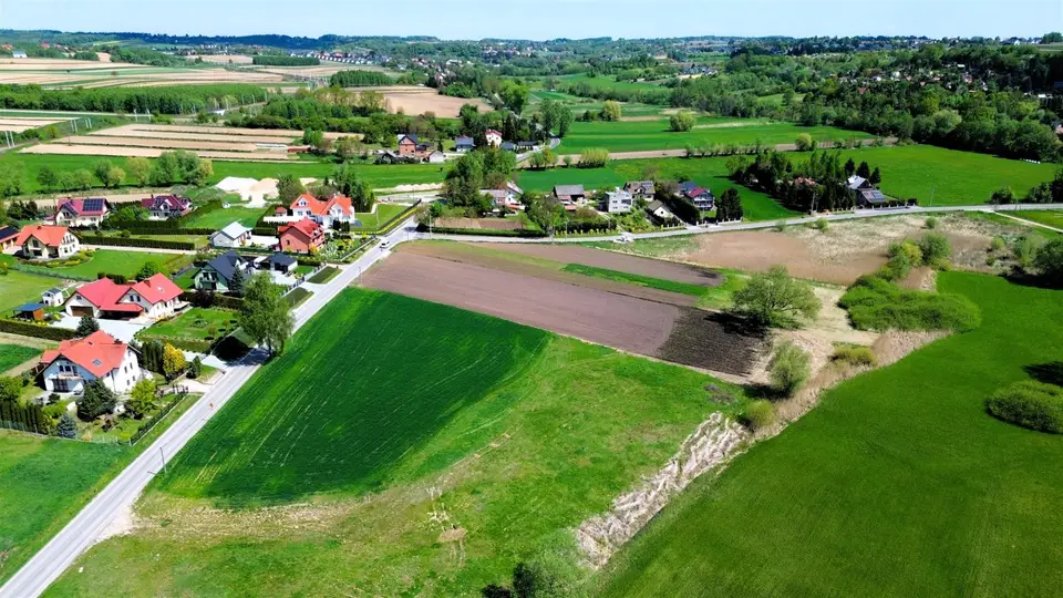 Zdjęcie 12
