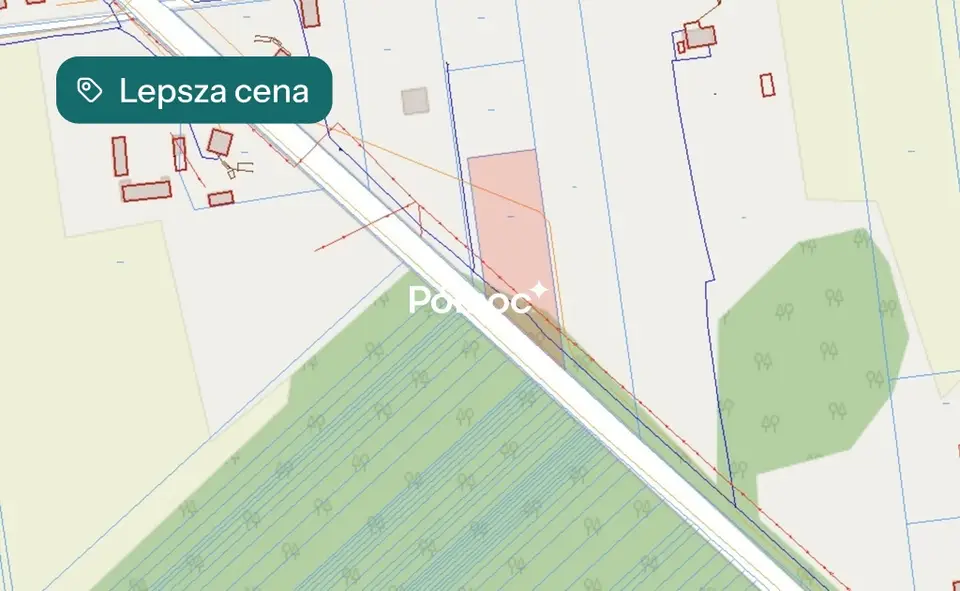 Zdjęcie 9