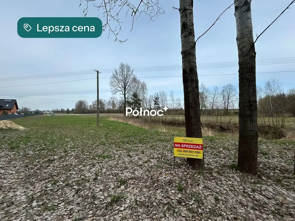 Zdjęcie 11