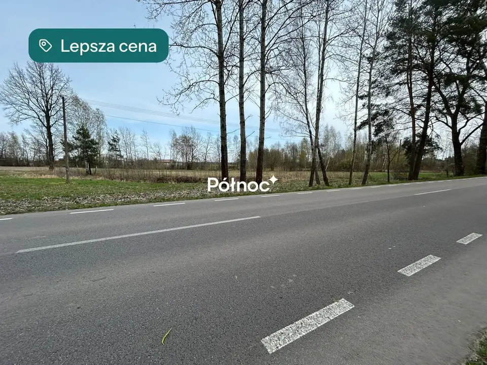 Zdjęcie 12