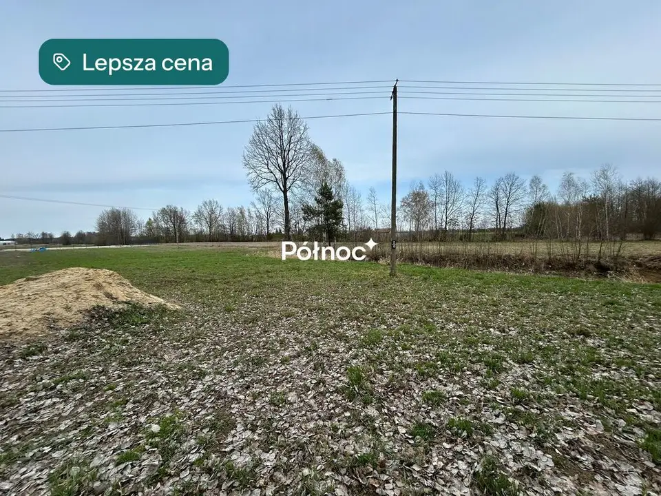 Zdjęcie 14