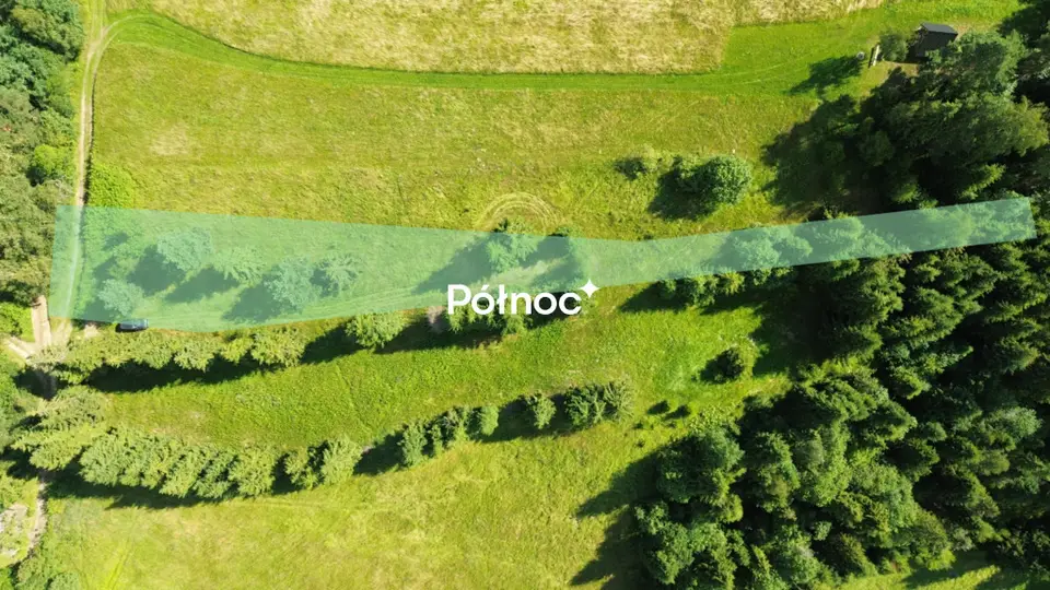 Zdjęcie 2