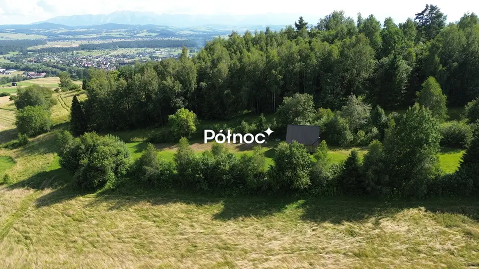 Zdjęcie 6