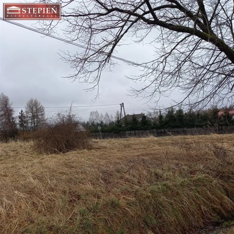 Zdjęcie 11