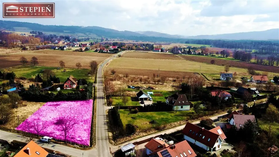Zdjęcie 17