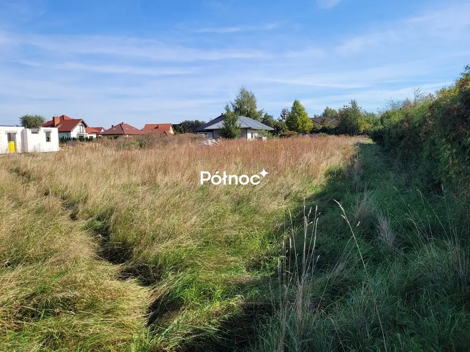 Zdjęcie 4