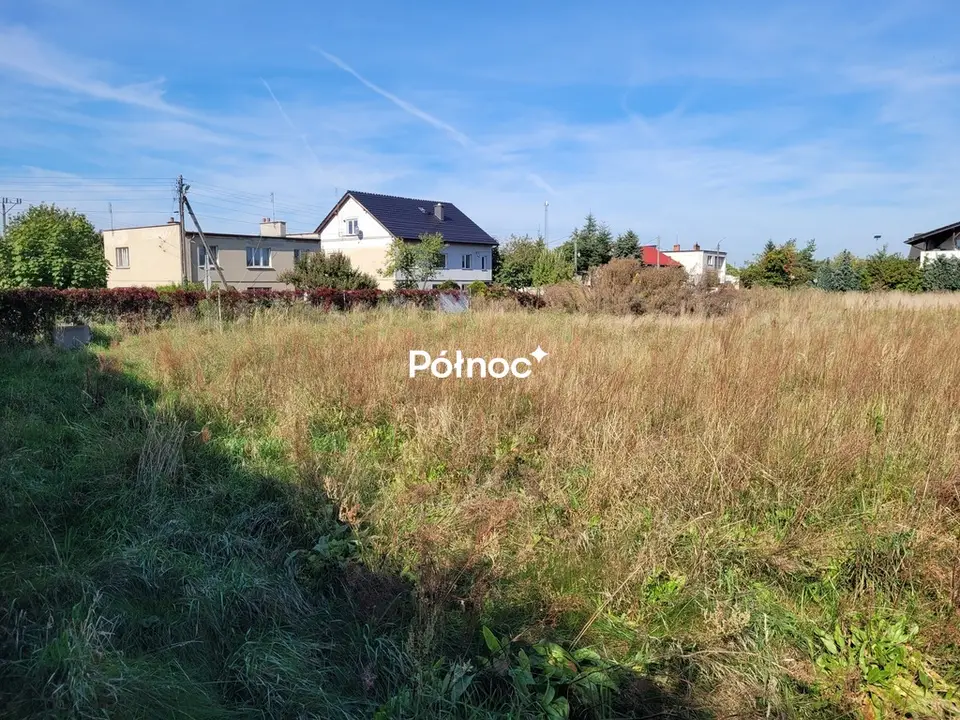 Zdjęcie 5