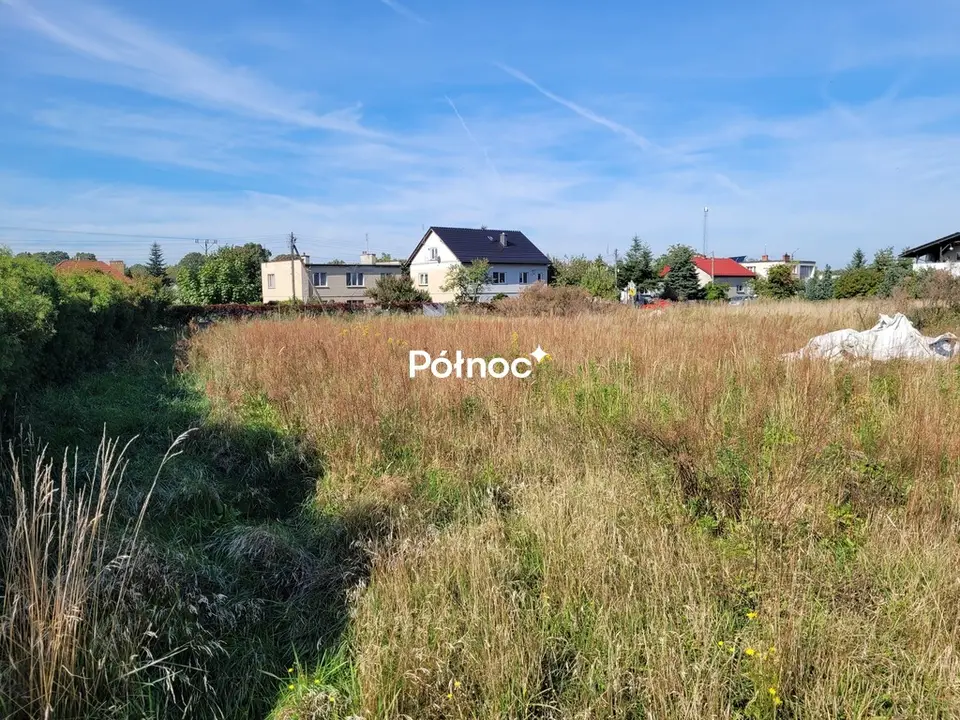 Zdjęcie 6