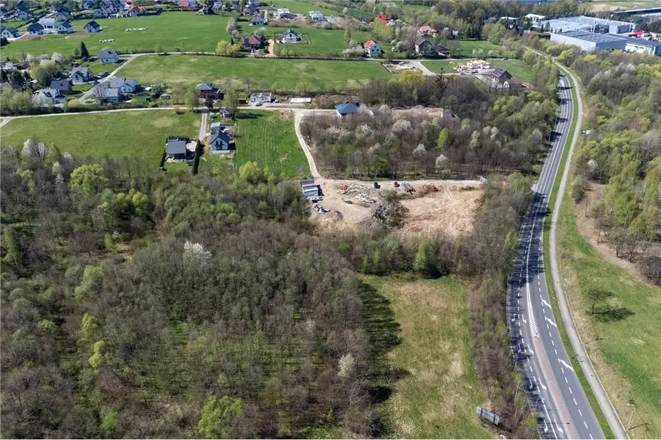 Zdjęcie 12