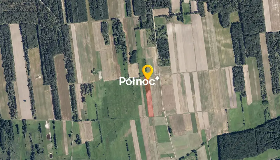 Zdjęcie 5