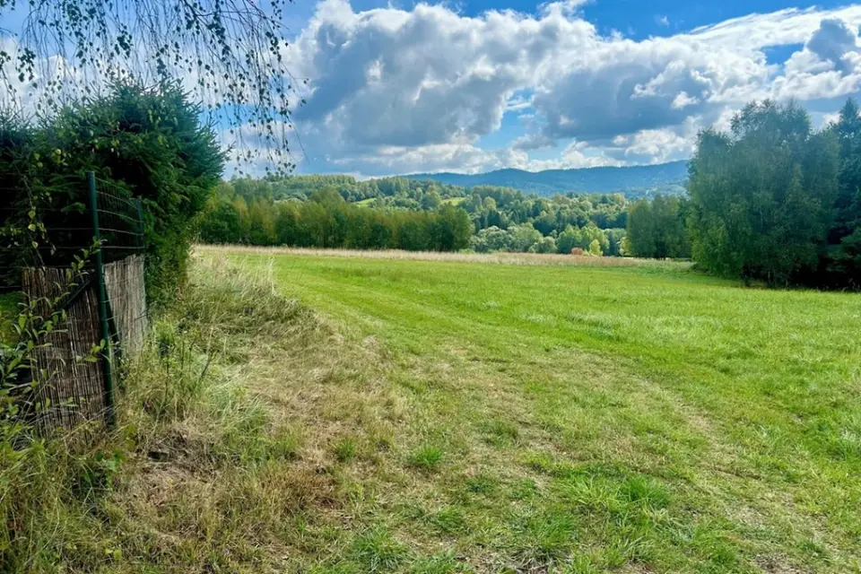 Zdjęcie 3