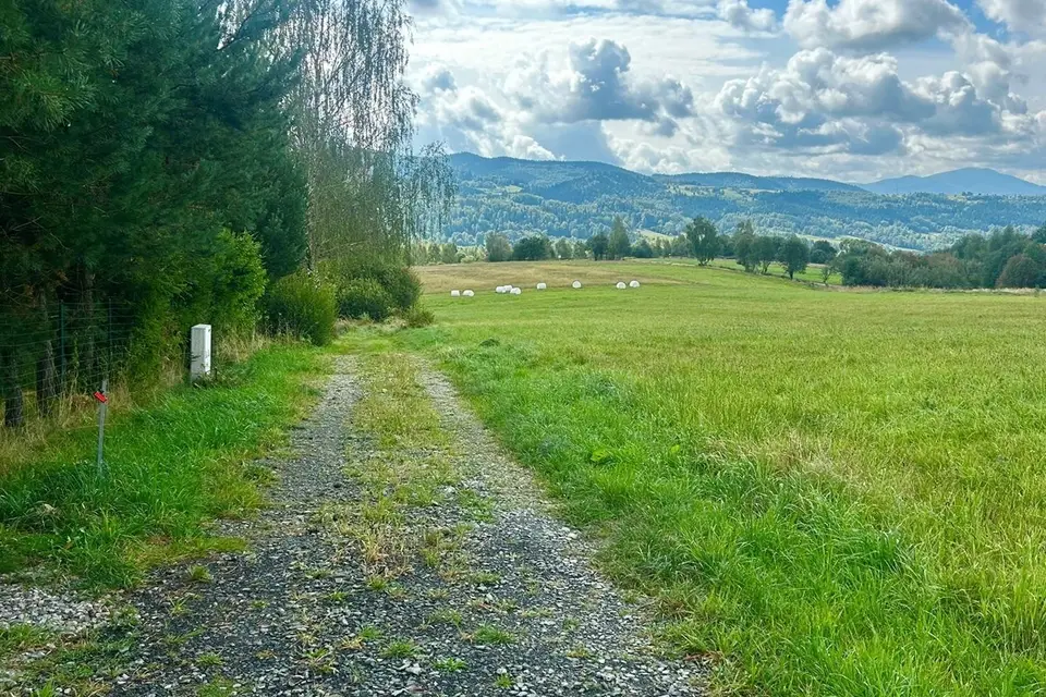 Zdjęcie 9