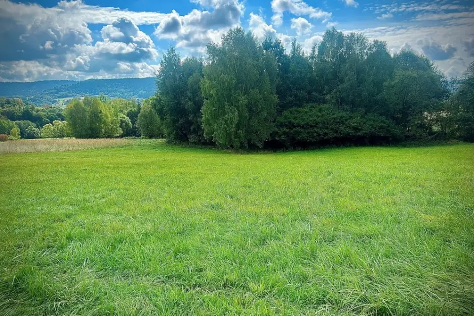 Zdjęcie 3