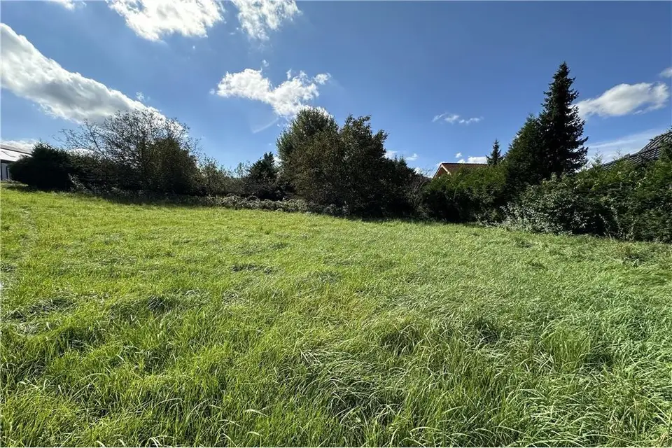 Zdjęcie 15