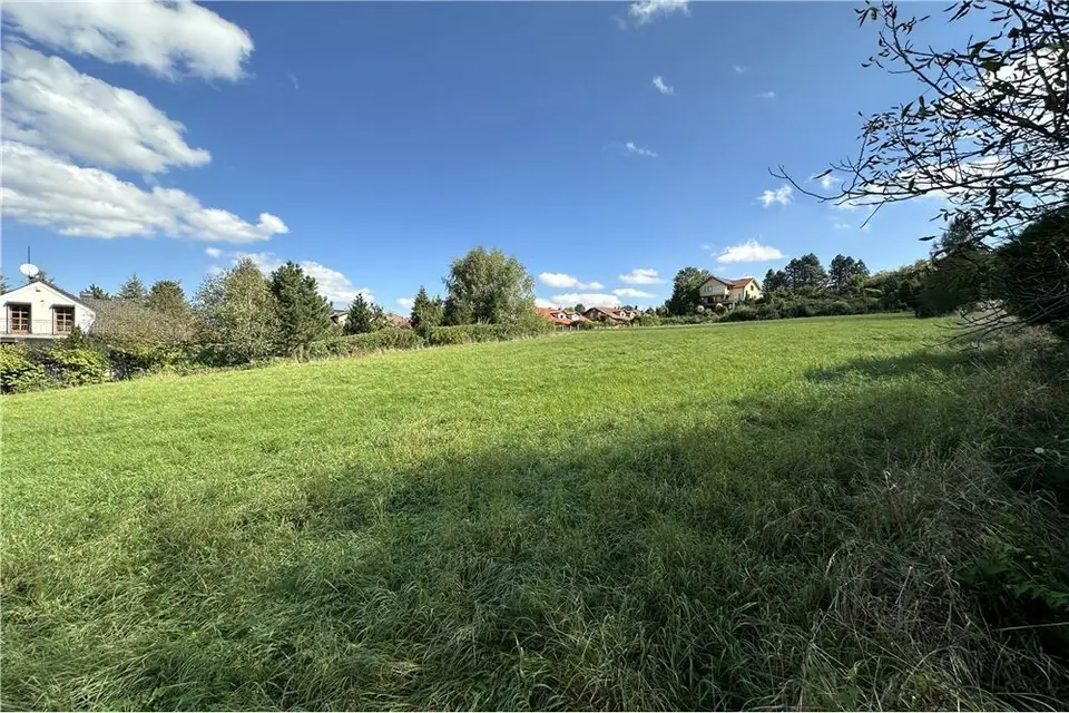 Zdjęcie 14