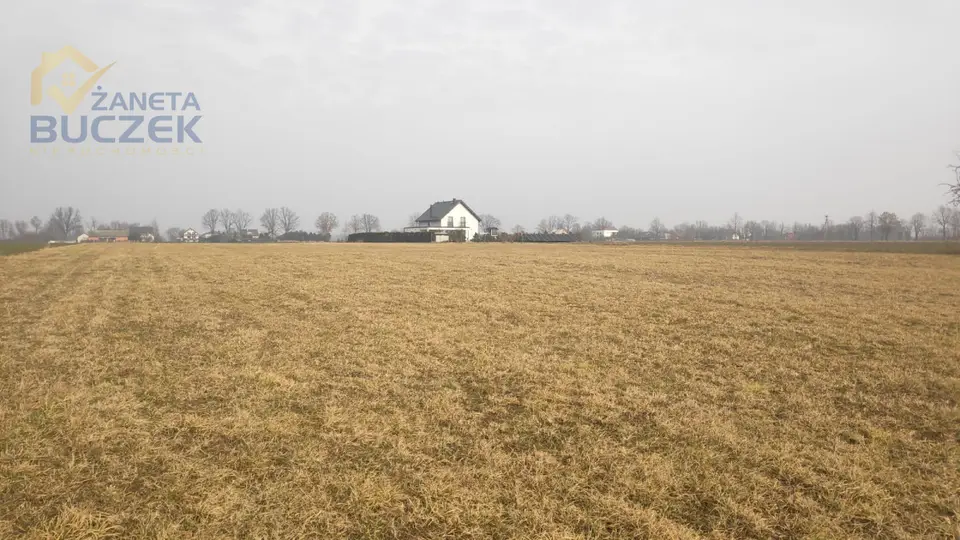 Zdjęcie 2