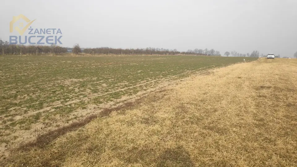 Zdjęcie 3