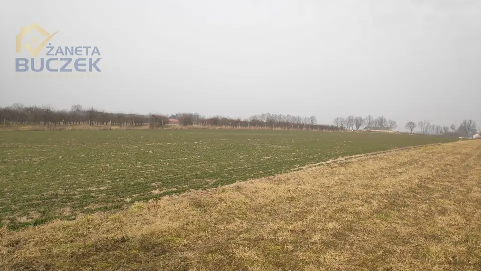 Zdjęcie 5