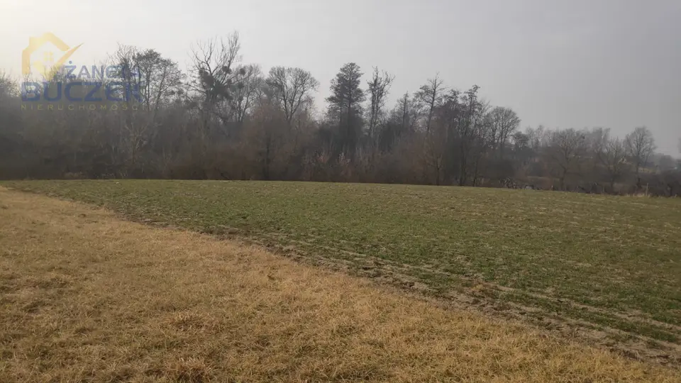 Zdjęcie 6