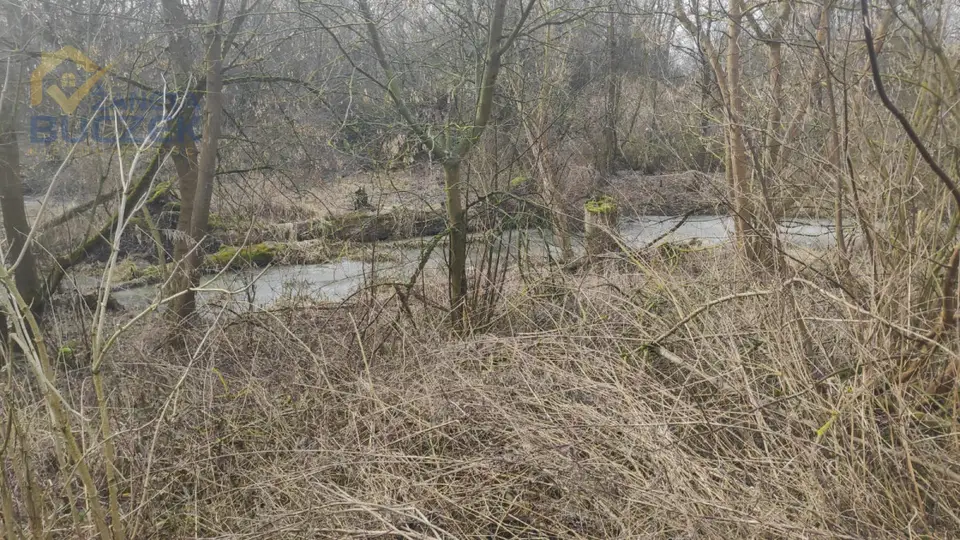 Zdjęcie 7