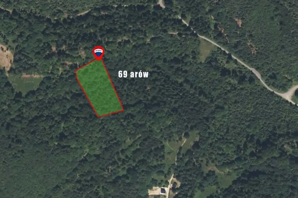 Działka leśna 7 200 m², Cisiec