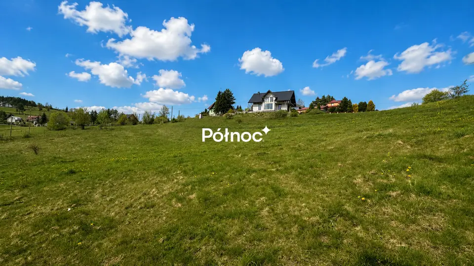 Zdjęcie 3