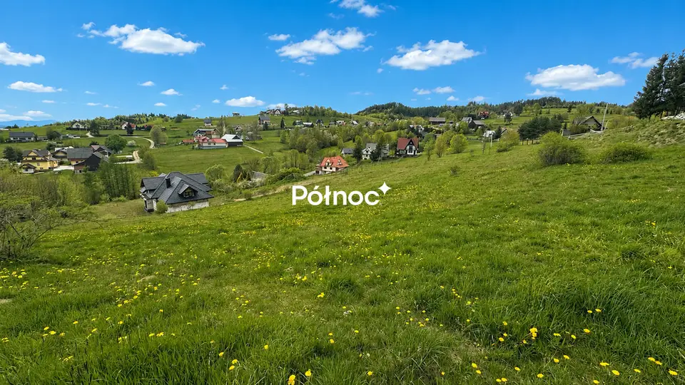 Zdjęcie 4