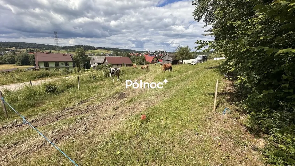 Zdjęcie 2
