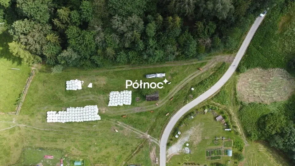 Zdjęcie 3