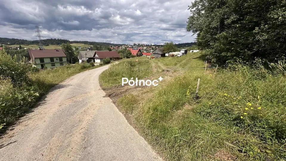Zdjęcie 6