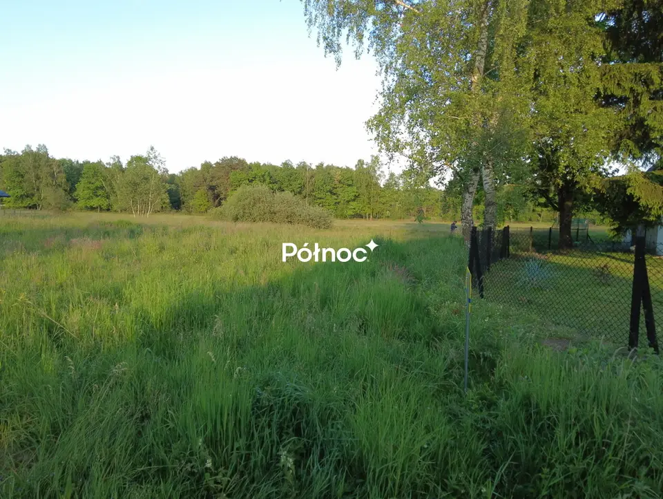 Zdjęcie 8