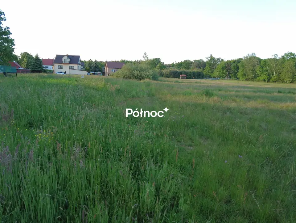Zdjęcie 9