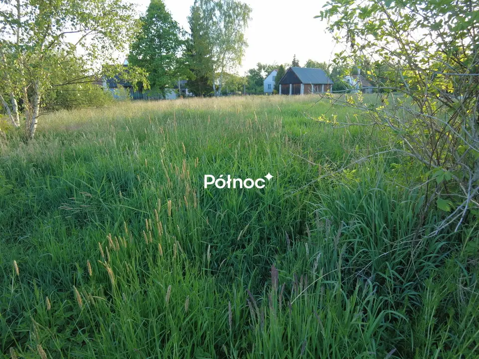 Zdjęcie 10