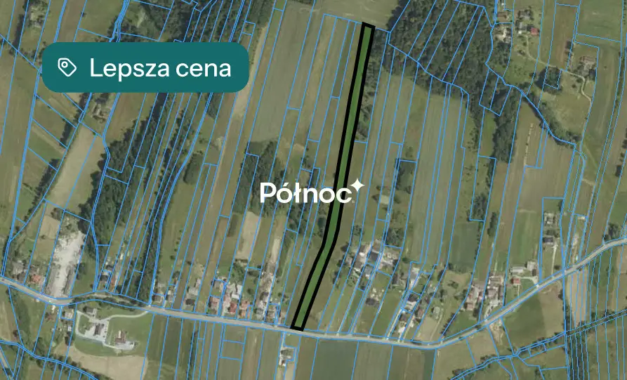 Zdjęcie 3
