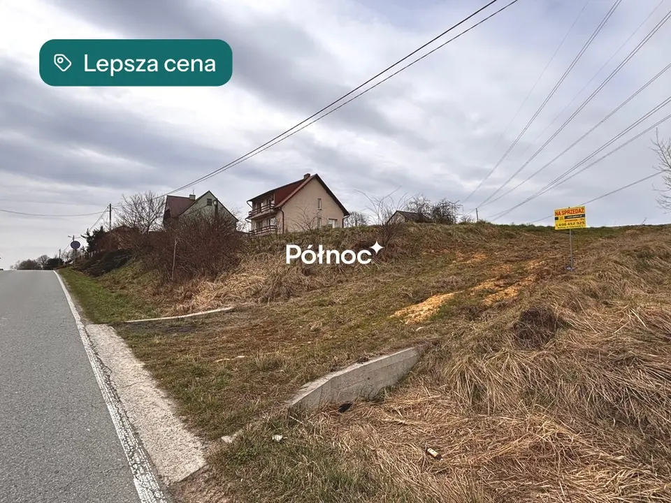 Zdjęcie 5