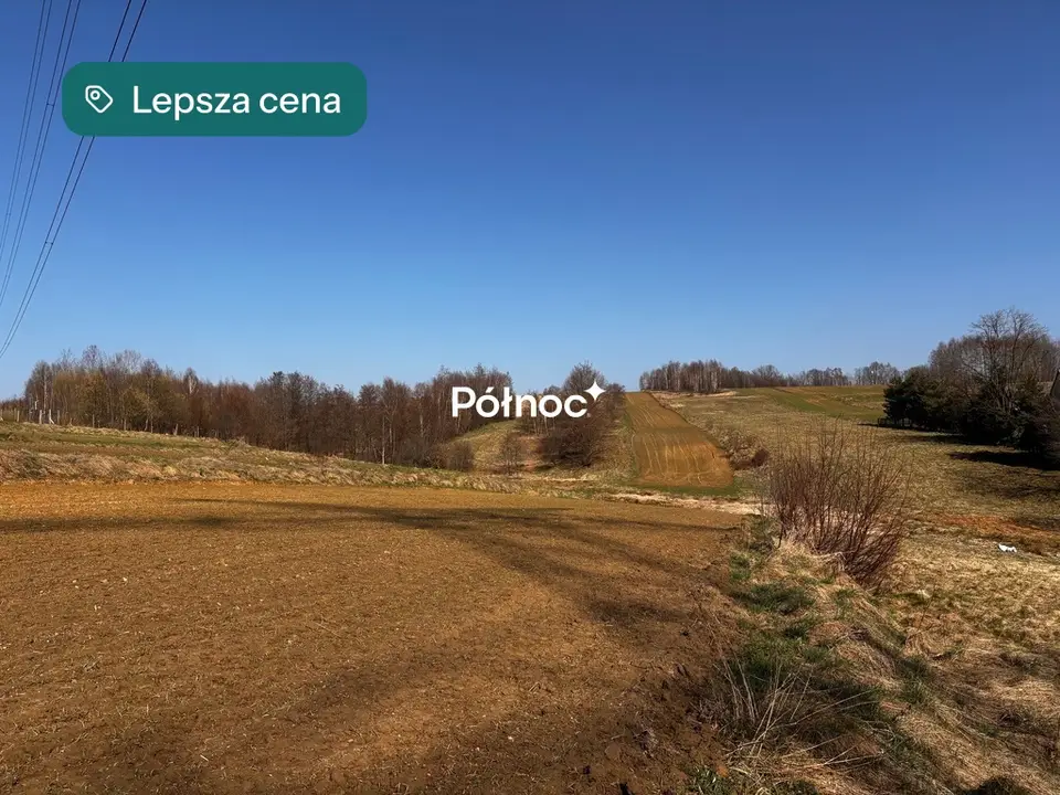 Zdjęcie 6