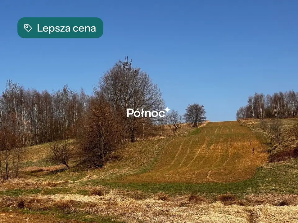 Zdjęcie 7