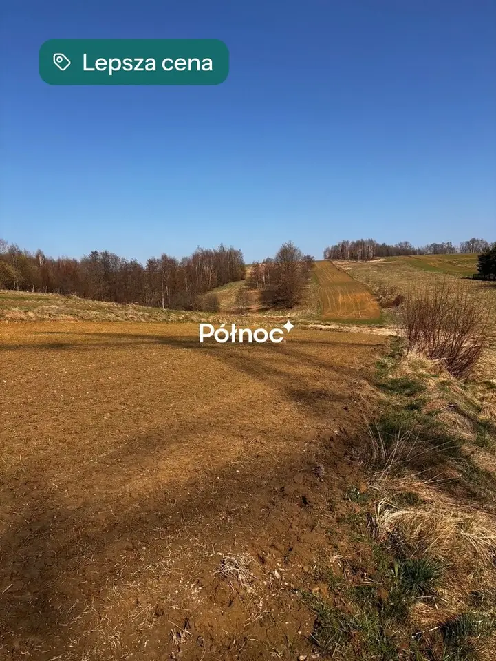 Zdjęcie 8