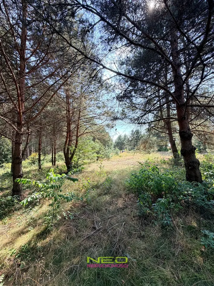 Działka budowlana 2 866 m², Biskupice