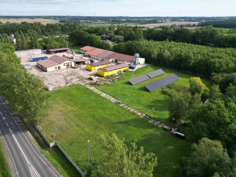 Działka inwestycyjna 1,19 ha, Dłutów