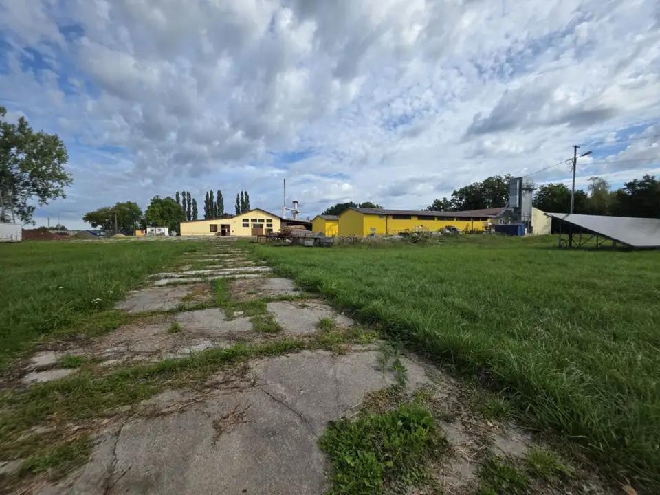Zdjęcie 8