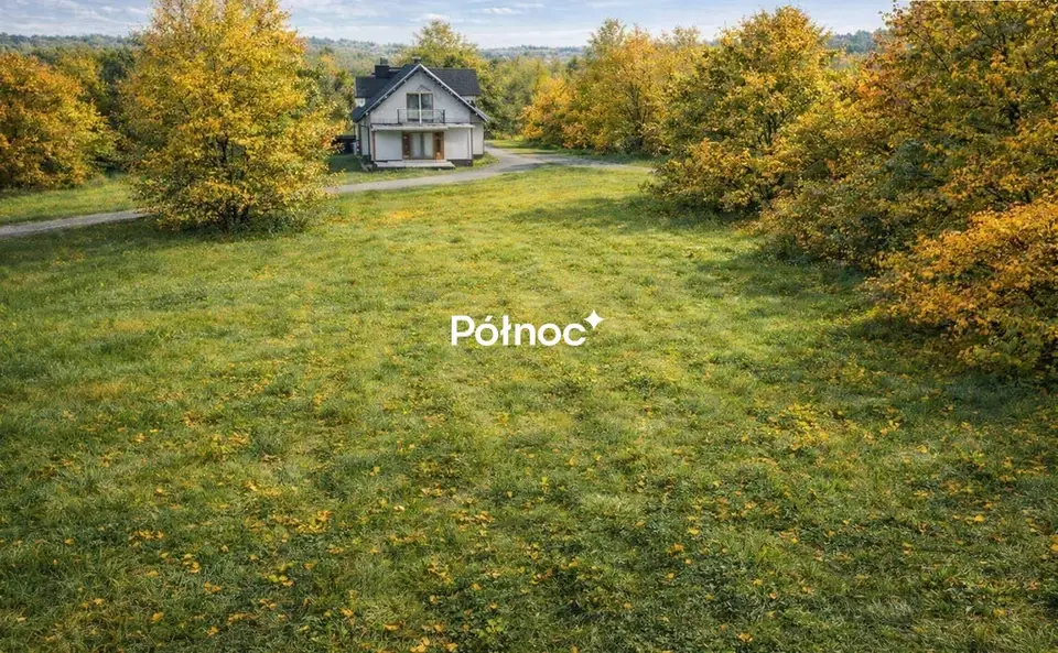 Zdjęcie 2