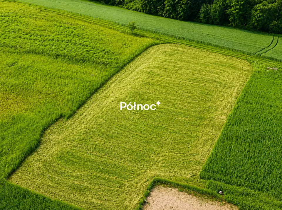 Zdjęcie 2