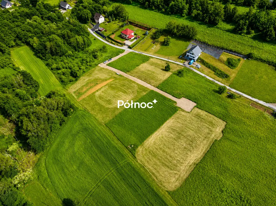 Zdjęcie 3